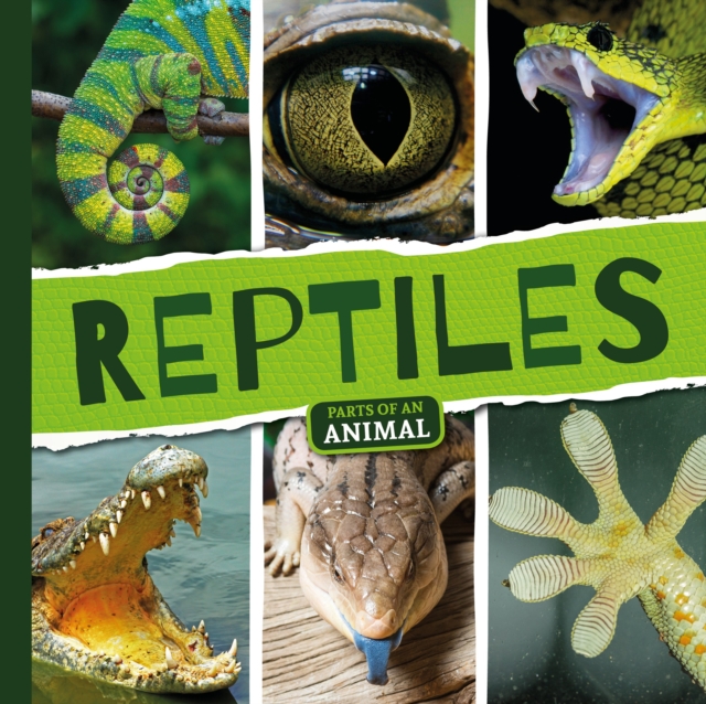 Reptiles, Hardback Book