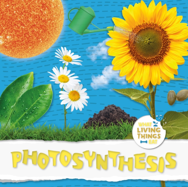 Photosynthesis, Hardback Book