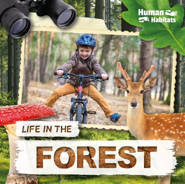 Life in the Forest, Hardback Book