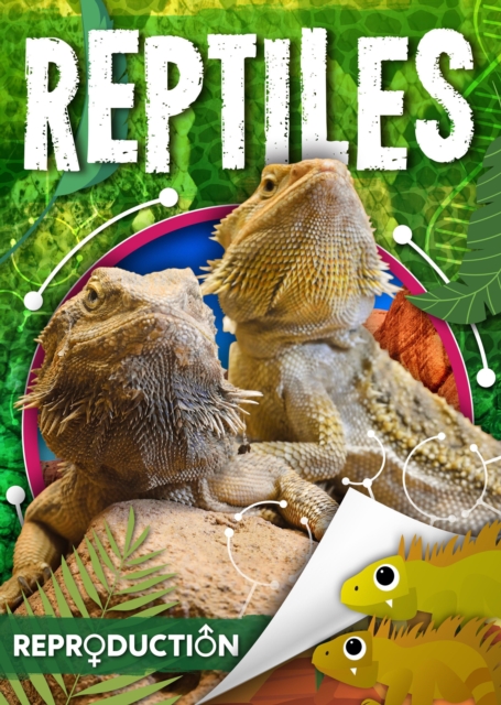 Reptiles, Hardback Book
