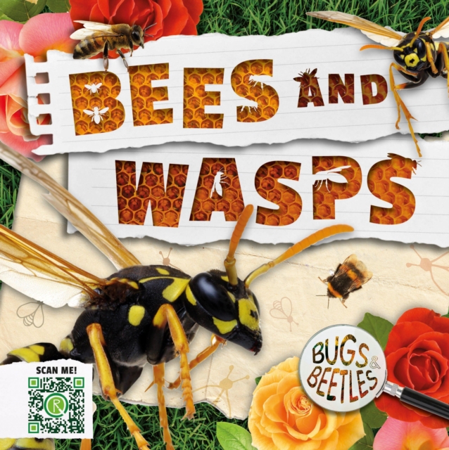 Bees and Wasps, Hardback Book