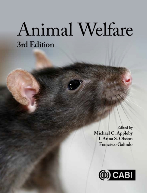 Animal Welfare, Paperback / softback Book