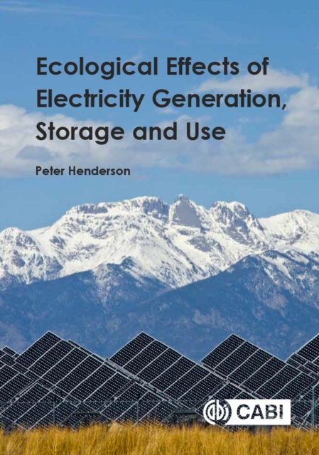 Ecological Effects of Electricity Generation, Storage and Use, Paperback / softback Book