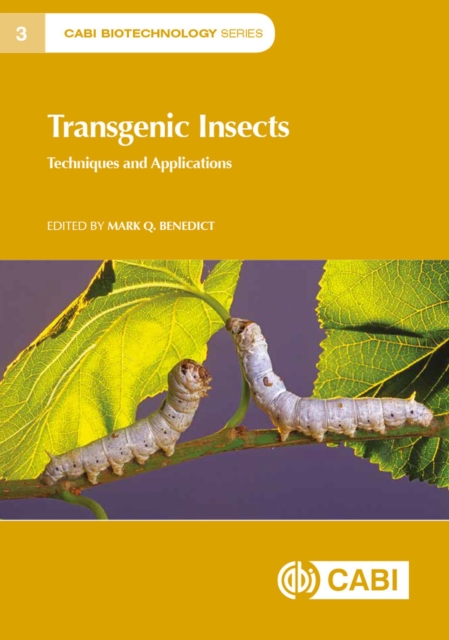Transgenic Insects : Techniques and Applications, Paperback / softback Book