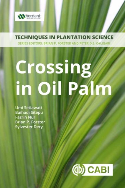 Crossing in Oil Palm : A Manual, Paperback / softback Book