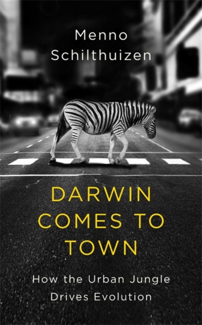 Darwin Comes to Town, Hardback Book