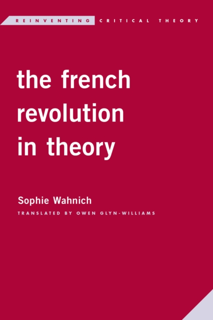 The French Revolution in Theory, Paperback / softback Book