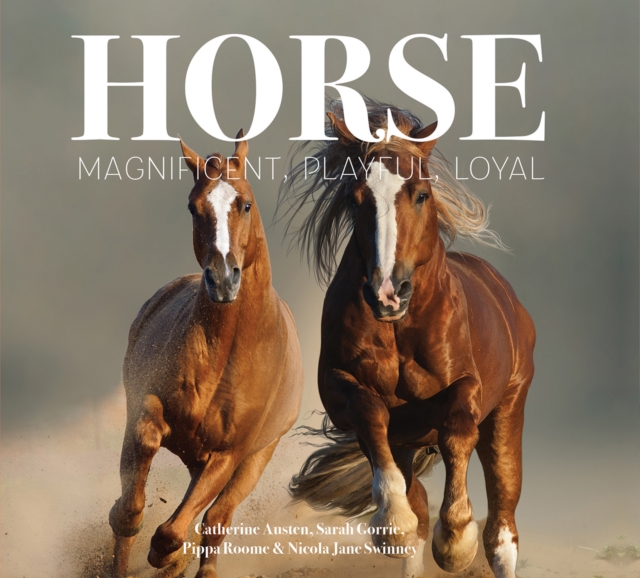 Horse : Magnificent, Playful, Loyal, Hardback Book