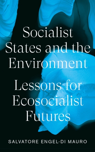 Socialist States and the Environment : Lessons for Eco-Socialist Futures, EPUB eBook