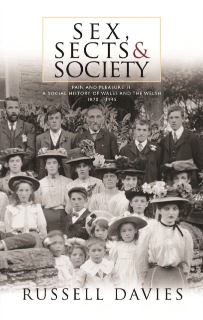 Sex, Sects and Society : 'Pain and Pleasure': A Social History of Wales and the Welsh, 1870-1945, PDF eBook