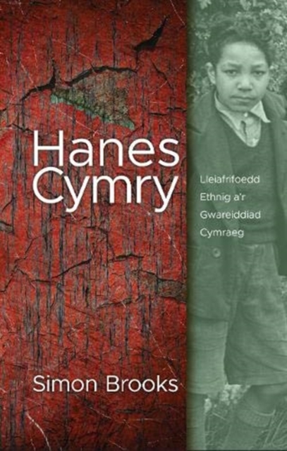 Hanes Cymry : Lleiafrifoedd Ethnig a'r Gwareiddiad Cymraeg, Paperback / softback Book
