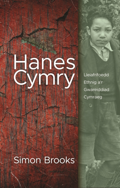 Hanes Cymry : Lleiafrifoedd Ethnig ar Gwareiddiad Cymraeg, EPUB eBook