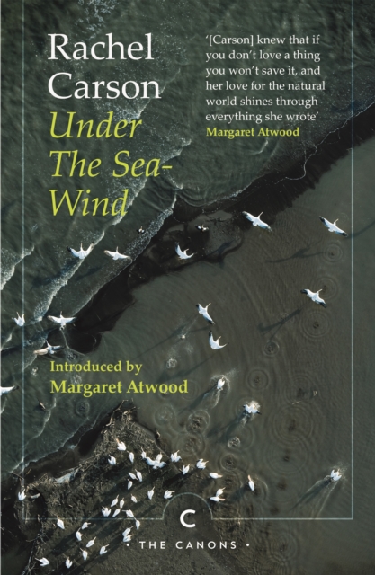 Under the Sea-Wind, Paperback / softback Book
