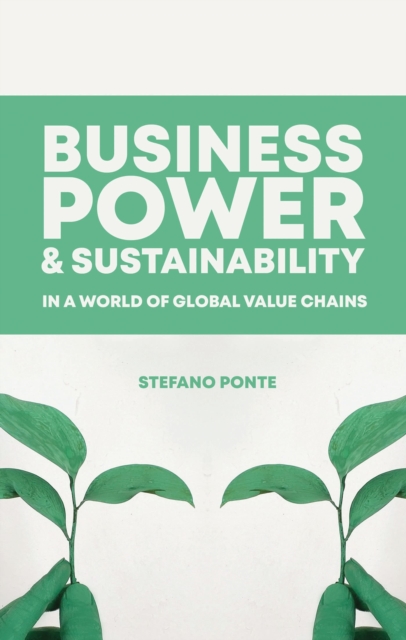 Business, Power and Sustainability in a World of Global Value Chains, Paperback / softback Book