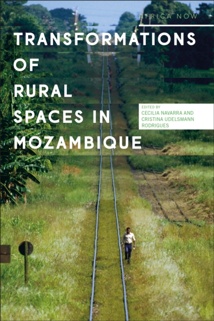 Transformations of Rural Spaces in Mozambique, Paperback / softback Book