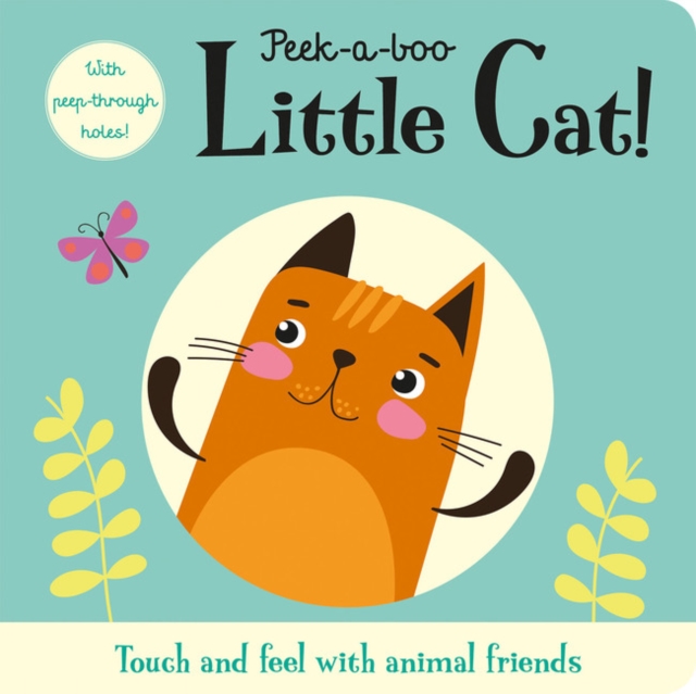Peek-a-boo Little Cat!, Board book Book