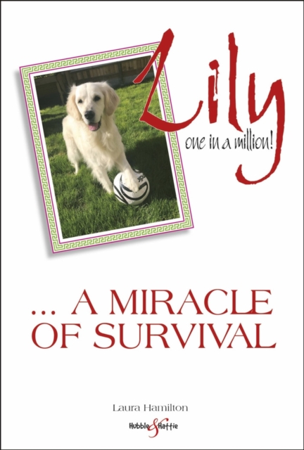 Lily: one in a million : A miracle of survival, Paperback / softback Book