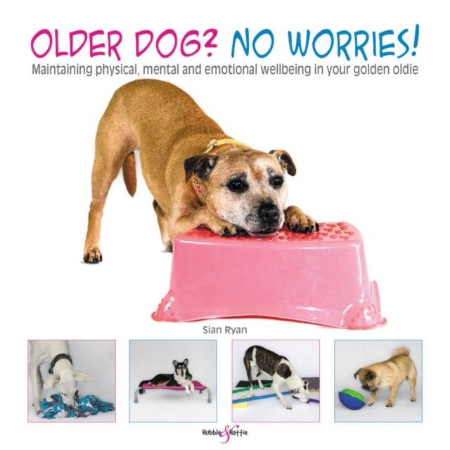 Older dog? No worries! : Maintaining physical, mental and emotional wellbeing in your golden oldie, Paperback / softback Book
