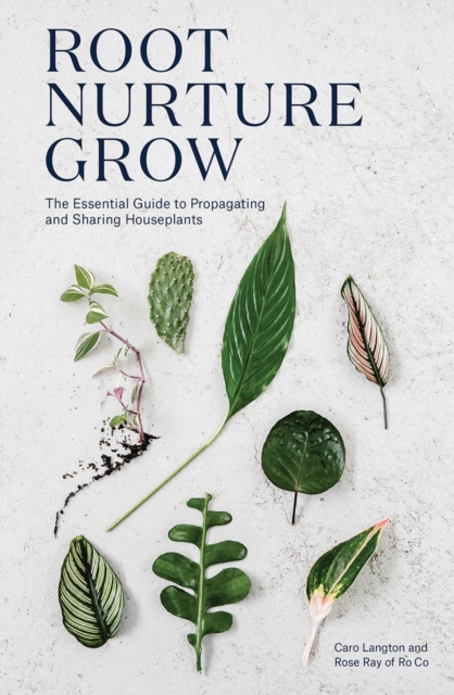 Root, Nurture, Grow : The Essential Guide to Propagating and Sharing Houseplants, Hardback Book