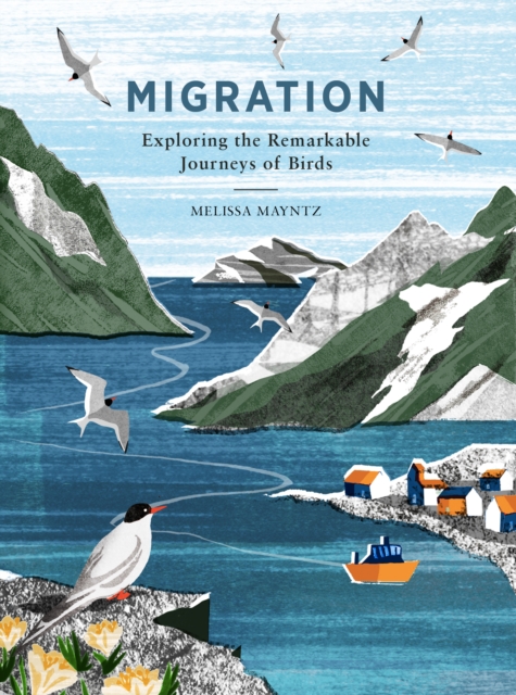 Migration : Exploring the Remarkable Journeys of Birds, EPUB eBook