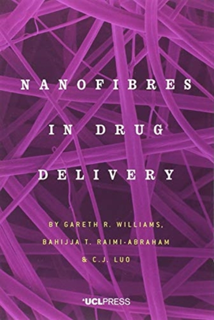 Nanofibres in Drug Delivery, Paperback / softback Book