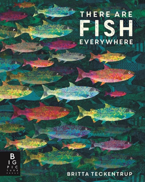 There are Fish Everywhere, Hardback Book