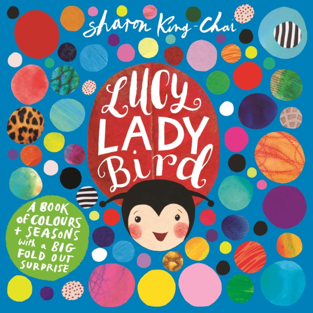 Lucy Ladybird, EPUB eBook
