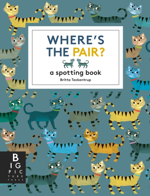 Where's the Pair? : A Spotting Book, EPUB eBook