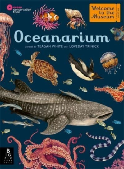 Oceanarium, Hardback Book