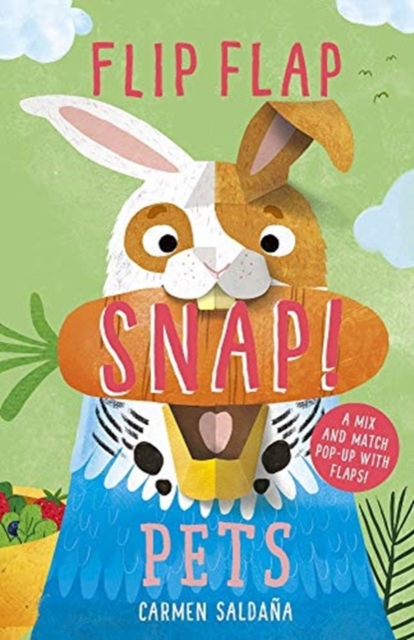 Flip Flap Snap: Pets, Hardback Book