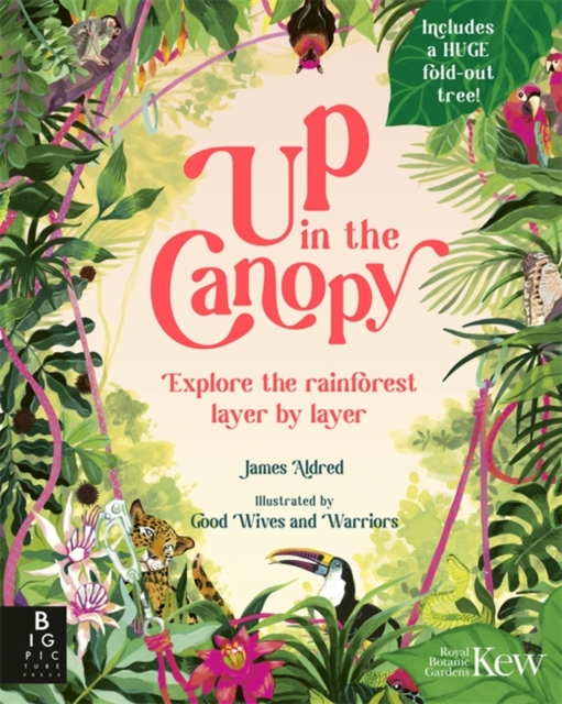 Up in the Canopy : Explore the Rainforest, Layer by Layer, Hardback Book