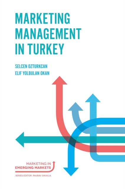 Marketing Management in Turkey, EPUB eBook