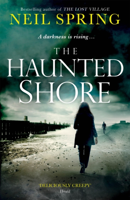 The Haunted Shore : a gripping supernatural thriller from the author of The Ghost Hunters, Paperback / softback Book