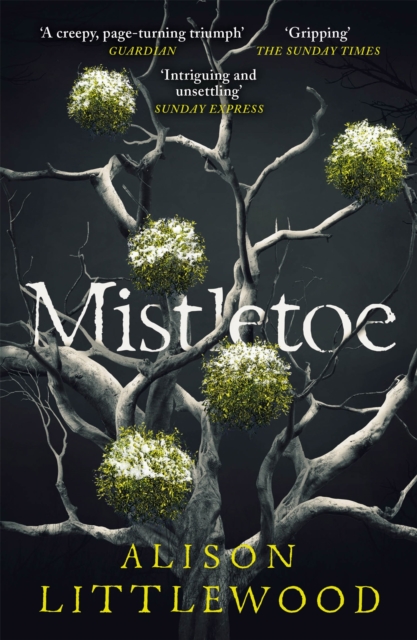 Mistletoe : 'The perfect read for frosty nights' HEAT, Paperback / softback Book