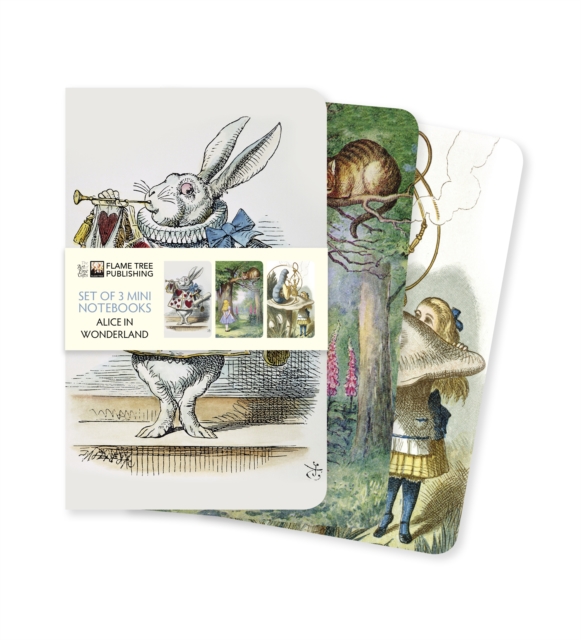 Alice in Wonderland Set of 3 Mini Notebooks, Notebook / blank book Book