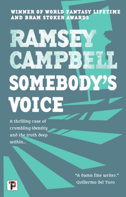 Somebody's Voice, Paperback Book
