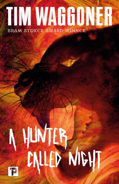 A Hunter Called Night, Paperback / softback Book