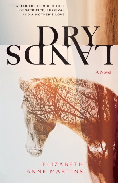 Dry Lands, Paperback / softback Book
