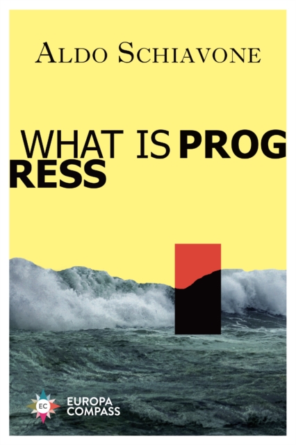 What is Progress, Paperback / softback Book