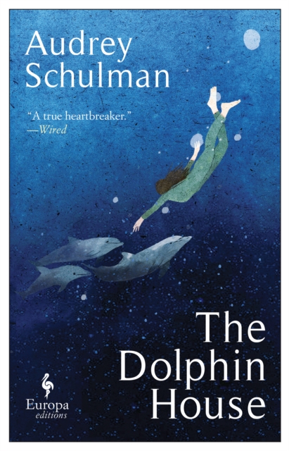 The Dolphin House : A moving novel on connection and community, Paperback / softback Book