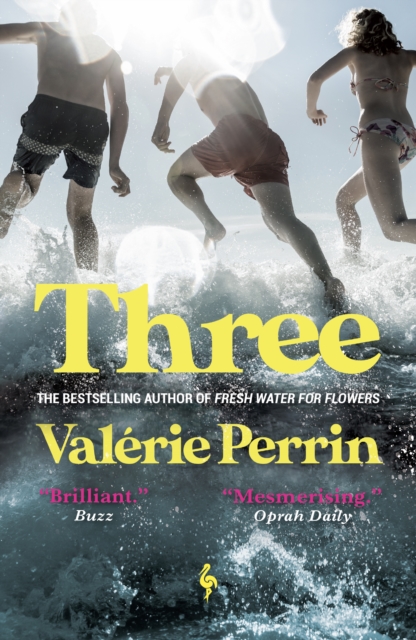 Three : From the bestselling author of Fresh Water for Flowers, Paperback / softback Book