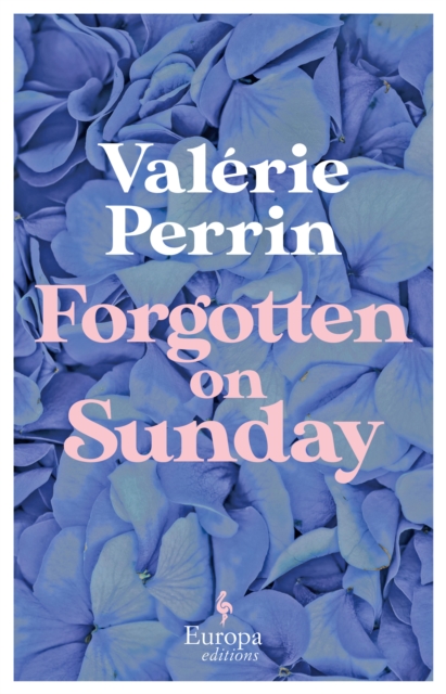 Forgotten on Sunday, EPUB eBook