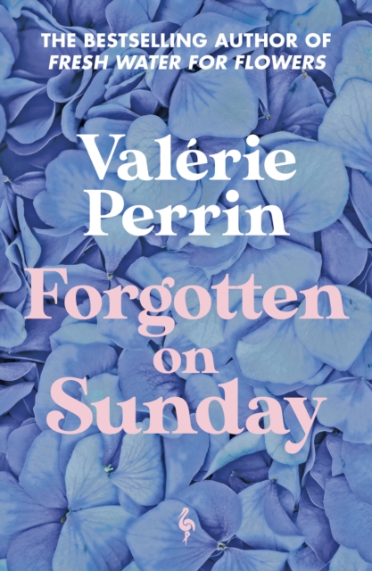 Forgotten on Sunday : From the million copy bestselling author of Fresh Water for Flowers, Paperback / softback Book