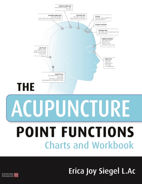 The Acupuncture Point Functions Charts and Workbook, PDF eBook