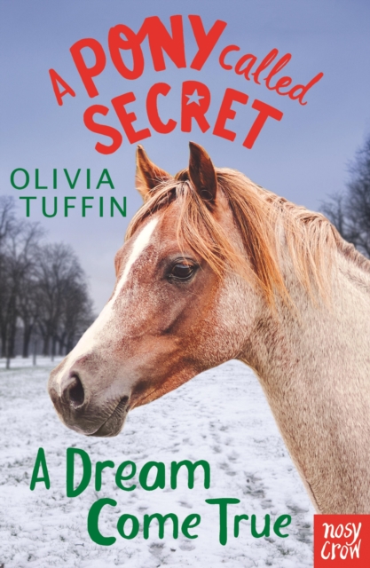 A Pony Called Secret: A Dream Come True, EPUB eBook