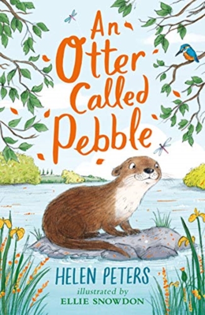 An Otter Called Pebble, Paperback / softback Book