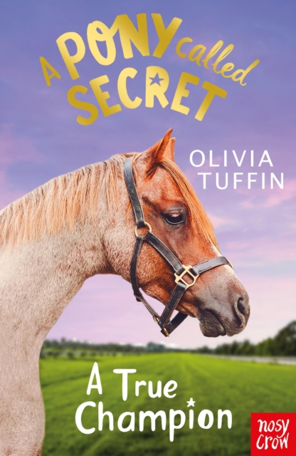 A Pony Called Secret: A True Champion, EPUB eBook