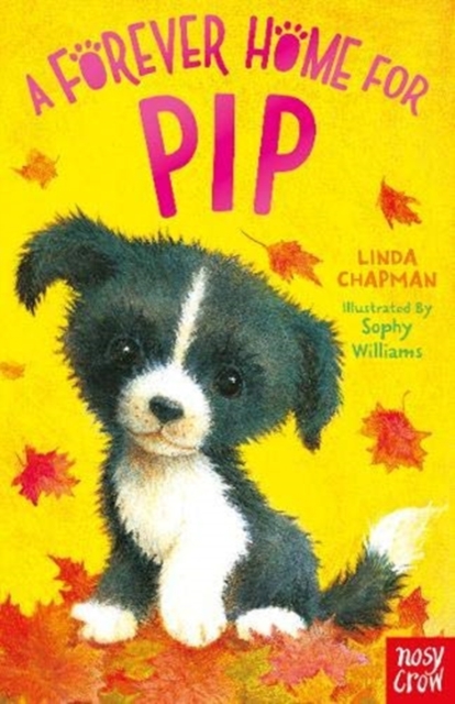 A Forever Home for Pip, Paperback / softback Book