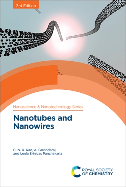 Nanotubes and Nanowires, PDF eBook