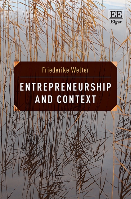 Entrepreneurship and Context, PDF eBook